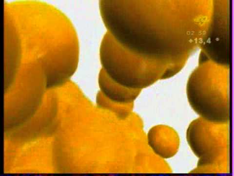Видео: Конец эфира (49 канал, Новосибирск)