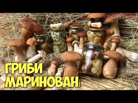 Видео: БІЛІ ГРИБИ. Ідеальний маринад для грибів. РЕЦЕПТ від карпатського грибника.