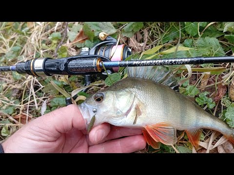 Видео: arukazik japan hi-revolution s58 the pianissimo. Перші враження. 🎣🦈