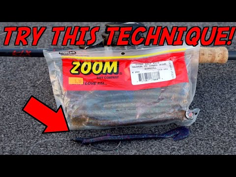 Видео: ЛУЧШИЙ СПОСОБ ЛОВКИ ОКУНЯ ВО ФЛОРИДЕ! (Червь Zoom Speed)