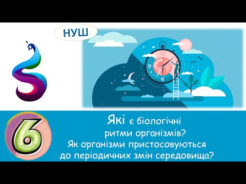 Видео: Які є біологічні  ритми організмів