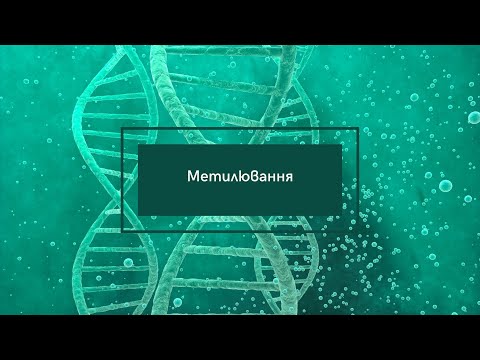 Видео: Метилювання - один із найважливіших процесів в організмі. Відео презентація Андрія Примака