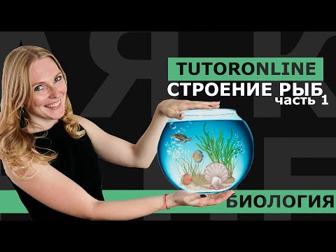 Видео: Биология | Внешнее строение рыб и cкелет (отрывок из Курса по Биологии)