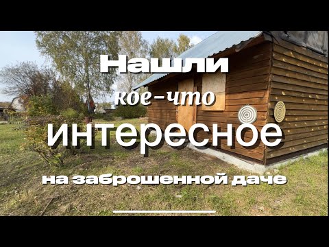 Видео: 11. Мои переживания😱нашли что-что непонятное на #заброшеннаядача 
