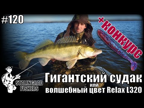 Видео: Гигантский судак или волшебный цвет Relax L320 + КОНКУРС!