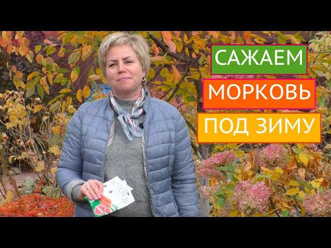 Видео: ПОДЗИМНИЙ ПОСЕВ МОРКОВИ! СЕКРЕТЫ И ПРАВИЛА!