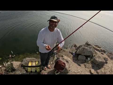 Видео: Kifal ovu 23 07 2025#Qum Adasi#fishing in Azerbaijan#Рыбалка на кифаля#