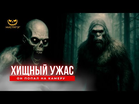 Видео: 6 НЕОБЪЯСНИМЫХ СУЩЕСТВ, Пойманных на Камеру в 2025