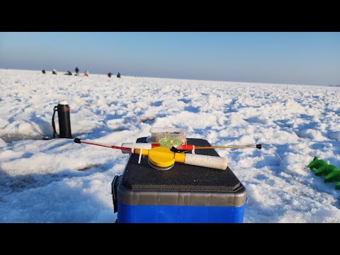 Видео: Вобла как из пулемёта. Капшагай, голубой залив. 28.12.2024 г.