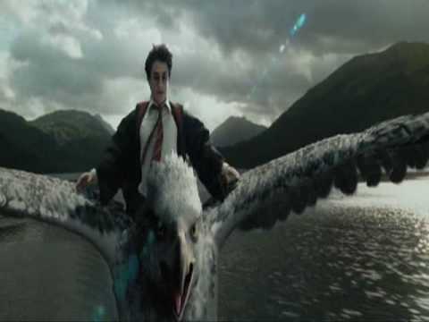 Видео: Перелётная птица