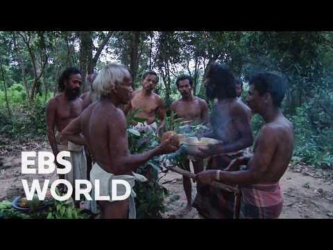Видео: Новогодний ритуал племени Ведда: духи, танцы и транс #pickdocu