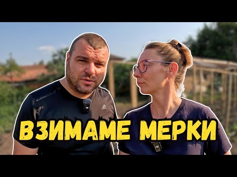 Видео: Котките са вилняли в градината ни | Милчеви БГ