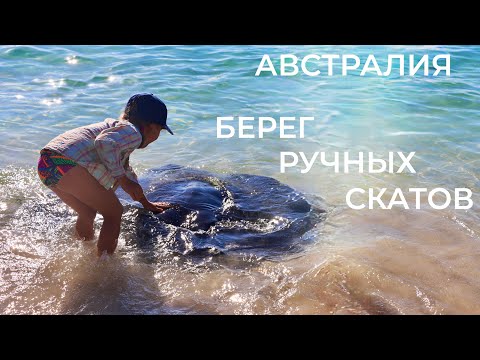 Видео: Хэмелин - залив ручных скатов и массовой гибели китов