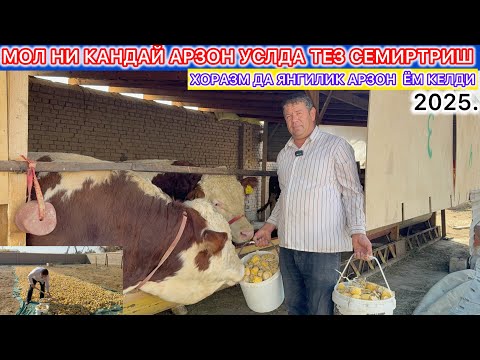 Видео: ☎️+998975554451.МОЛНИ КАНДАЙ АРЗОН УСЛДА ТЕЗ СЕМИРТРИШ | ХОРАЗМДА ЯНГИЛИК АРЗОН  ЁМ КЕЛДИ 27-октябрь