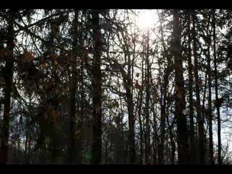 Видео: Fleur - Уходи, февраль