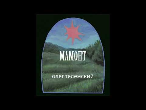 Видео: Олег Телемский: Смерть в торговом центре и жизнь в третьем огне