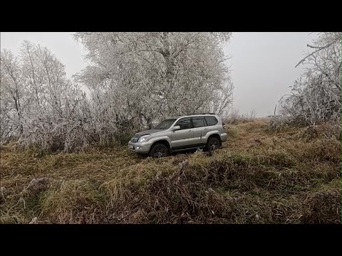 Видео: ДЕНЬ АВТОМОБИЛИСТА НА ПРИРОДУ