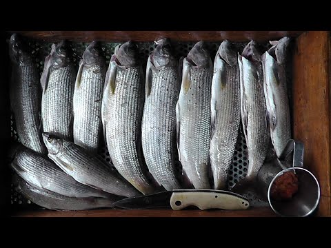 Видео: ХАКАСИЯ Горячий Ключ 03.08-22.08.2012 часть1