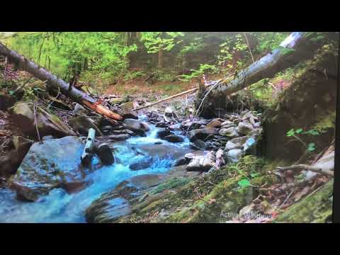 Видео: Регресия!                        Уникално, просто изслушайте