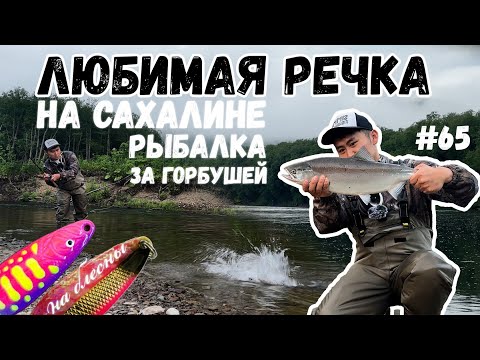 Видео: КАК ЛОВИТЬ ГОРБУШУ НА БЛЕСНА