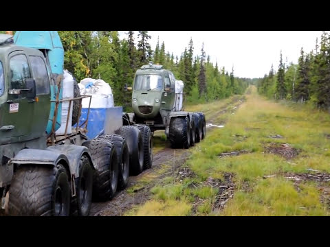 Видео: XPEN в работе