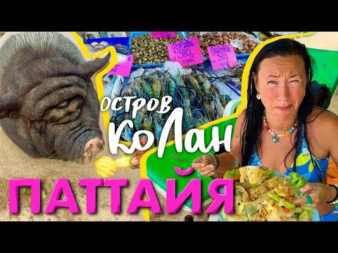 Видео: Паттайя 2025. Исследуем Заброшки Острова Ко Лан. Что Внутри Ската? Цены на Рынке. 