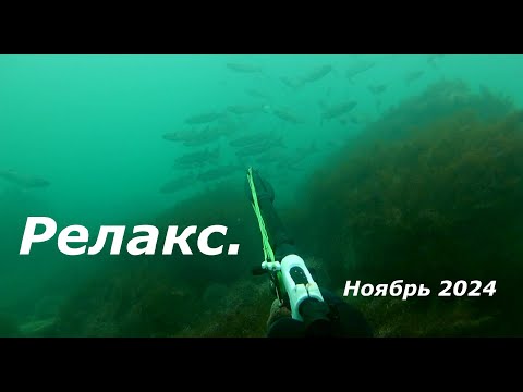 Видео: Релакс. Подводная охота в Черном море. Ноябрь 2024.