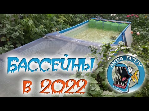 Видео: Мои бассейны для аквариумных рыбок в 2022 году