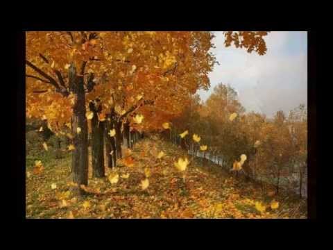 Видео: Поетична хвилинка Світлана Костюк "Барви осені"