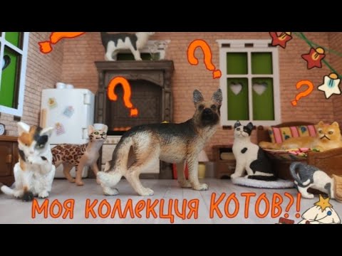 Видео: Моя коллекция котов schleich?🌼)