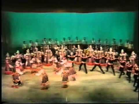 Видео: У голубя золотая голова.Воронежский хор.