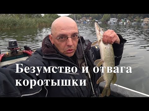 Видео: СПИННИНГ ДЛЯ ТВИЧИНГА.  AIKO OBERON 602M.