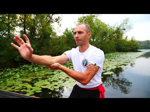 Видео: Лечение суставов