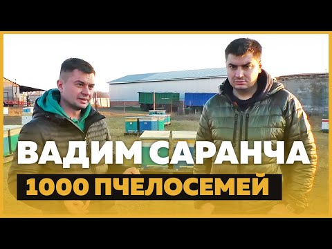 Видео: Саранча Вадим – 1000 пчелосемей, 6 лет пасеке, цена на мед [УКР]