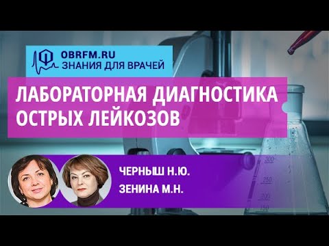 Видео: Черныш Н.Ю., Зенина М.Н.: Лабораторная диагностика острых лейкозов