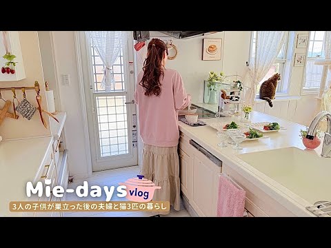 Видео: Спокойная домашняя жизнь | Уборка & рисовый хлеб | 3 кота