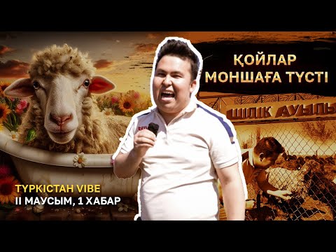 Видео: Түркістан vibe II маусым | Шаруасы шалқыған Шілік | 1 шығарылым