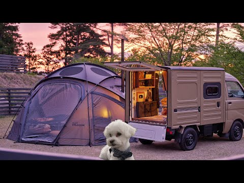 Видео: Мое первое походное приключение с моей собакой Джилл! Black Dragon S450 Pro [Расслабляющий АСМР]