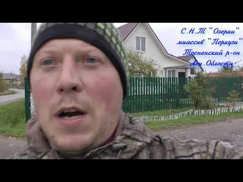 Видео: В поисках живого корма, исследование водоемов