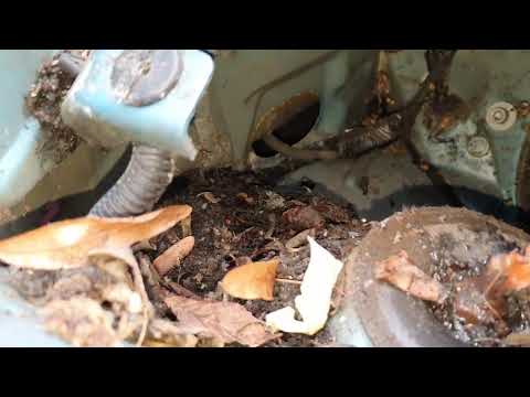 Видео: #vauxhallmeriva Опель Мерива забился фильтр насоса в бочке омывайке,замена салонного фильтра.