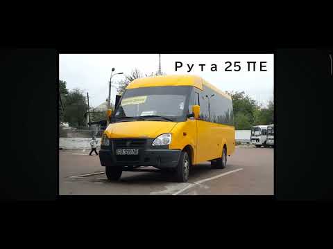 Видео: Евалюция автобус рута