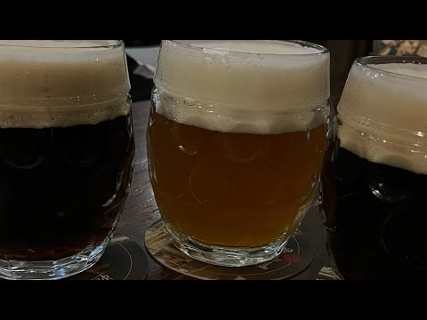 Видео: Самые легендарные пивные в Праге! Алкотур - Пивной зоопарк.