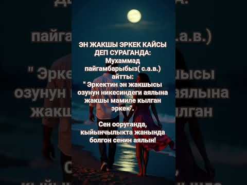 Видео: Жакшы эркек.