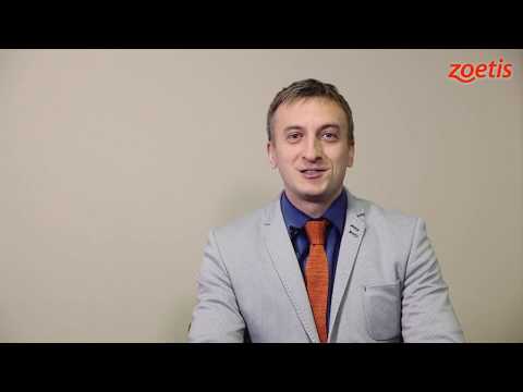 Видео: Выпуск 13. Кокцидиоз кур в условиях промышленного птицеводства. ООО "Зоэтис".