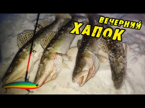 Видео: ХОМУТИНА Раздаёт! Искали Судака и попали на Мини Хапок! Зимняя рыбалка на СУДАКА. Судак на Вибы 2024
