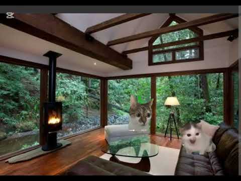 Видео: 25 октября 2025 г.