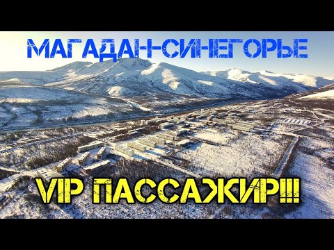 Видео: Авиарейс Магадан-Синегорье. VIP пассажир!🤣
