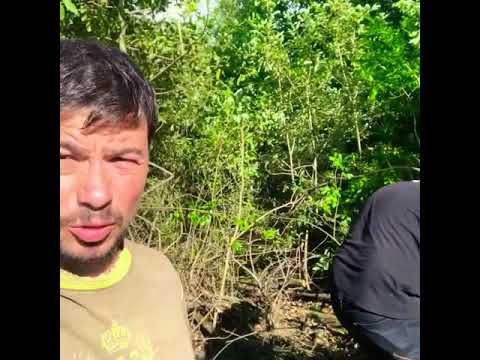 Видео: Создание пруда, с элементами кратерного сада. Изучали Зеппа Хольцера. 2020 год.