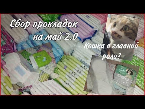 Видео: Сбор прокладок на май 2.0 #месячные #прокладки #обзор #кошка #реки2025
