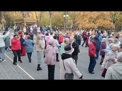 Видео: Белые тюльпаны......... 27.10.24 Гомель парк Луначарского 🥰💫